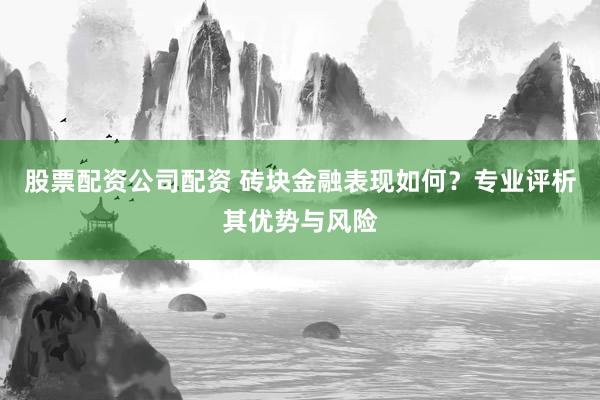 股票配资公司配资 砖块金融表现如何?专业评析其优势与风险