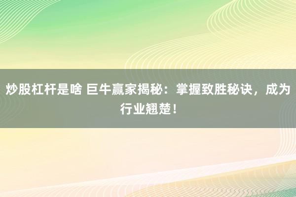 炒股杠杆是啥 巨牛赢家揭秘:掌握致胜秘诀,成为行业翘楚!