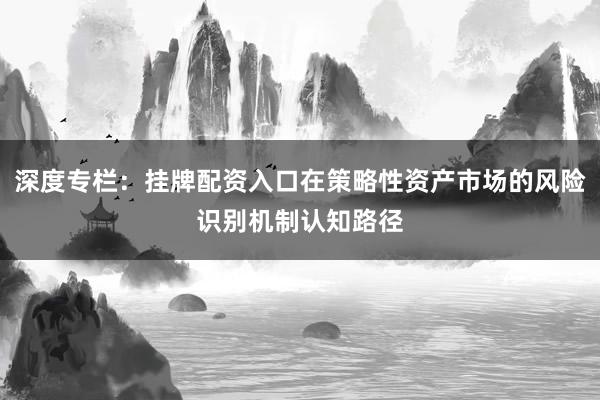 深度专栏：挂牌配资入口在策略性资产市场的风险识别机制认知路径