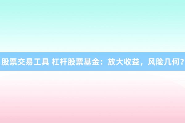 股票交易工具 杠杆股票基金：放大收益，风险几何？