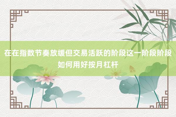 在在指数节奏放缓但交易活跃的阶段这一阶段阶段如何用好按月杠杆