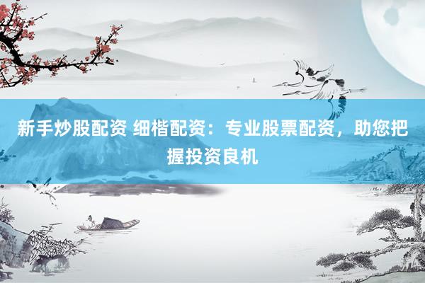 新手炒股配资 细楷配资：专业股票配资，助您把握投资良机