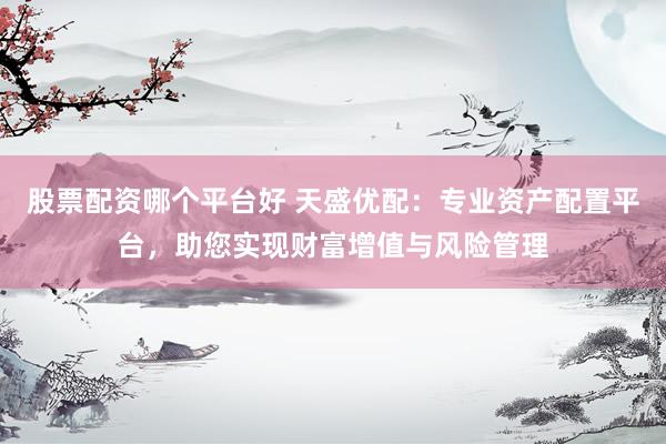 股票配资哪个平台好 天盛优配：专业资产配置平台，助您实现财富增值与风险管理