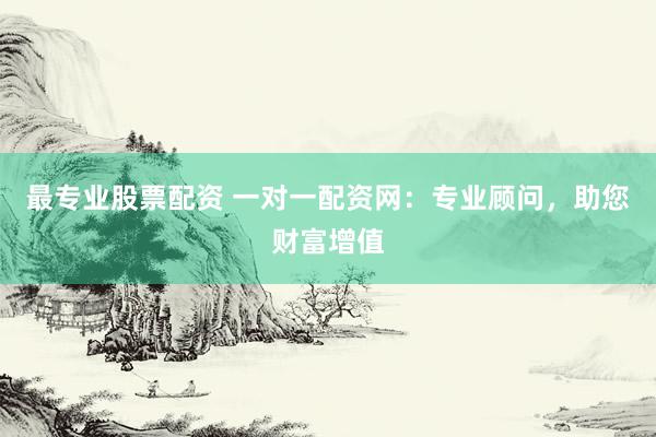 最专业股票配资 一对一配资网:专业顾问,助您财富增值