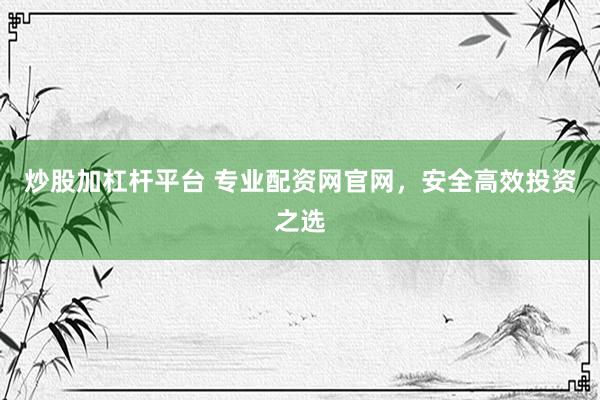 炒股加杠杆平台 专业配资网官网，安全高效投资之选